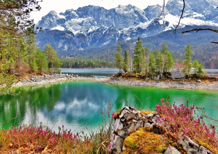 Mountainscape - trees, hills, beautiful, landscape, forest, reflection, mountain, wildflowers, river, tranquility, serenity, lake, rocks