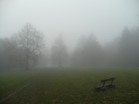 bench - trees, day, park, bench, foggy, path, forest, beautiful, green, fog, grass, misty