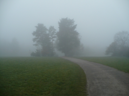 misty way - morning, autumn, landscape, trees, way, field, foggy, fall, beautiful, fog, green, grass, misty