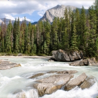 Kicking Horse River