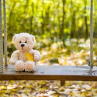 Autumn teddy