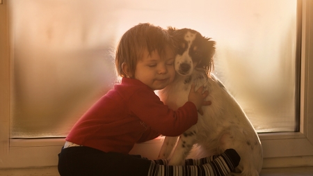 Love - dog, Love, pet, animal