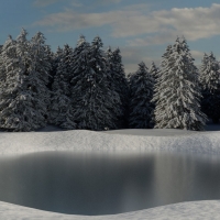 Winter Scene: A Frozen Pond