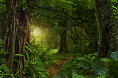 â™¥ - greenery, nature, forest, trees