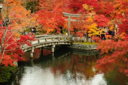 â™¥ - bridge, trees, nature, autumn