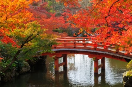 â™¥ - bridge, trees, nature, autumn