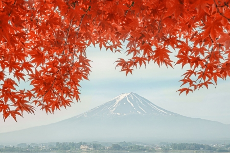 ♥ - trees, nature, mountain, autumn