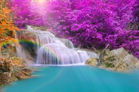 ♥ - water, nature, waterfall, flowing