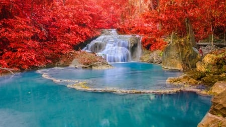 ♥ - water, nature, waterfall, flowing