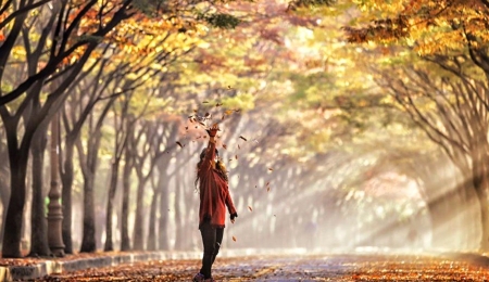 Goodbye Autumn - tree, autumn, girl, beautiful