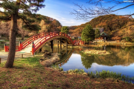 Autumn in the Park - Pond, Autumn, Park, Nature