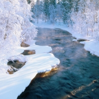 Snowy River