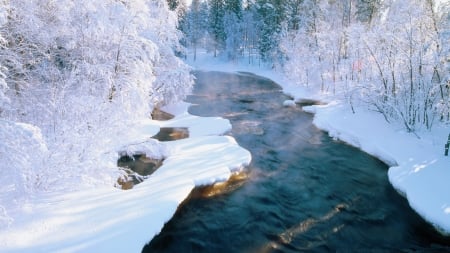 Snowy River - river, trees, winter, snow, Firefox persona theme, forest