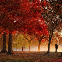 Ground fog on the National Mall, Washington