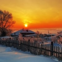 Winter Splendor