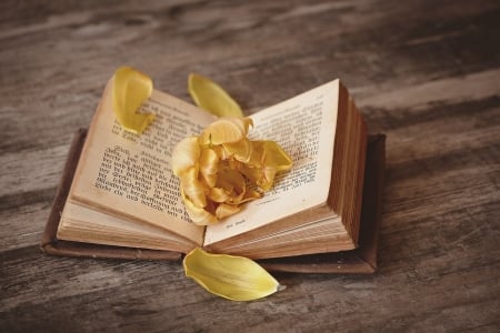 ♥ - abstract, flower, photography, book