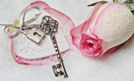 â™¥ - flower, book, key, photography, abstract