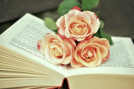 â™¥ - photography, flower, book, abstract