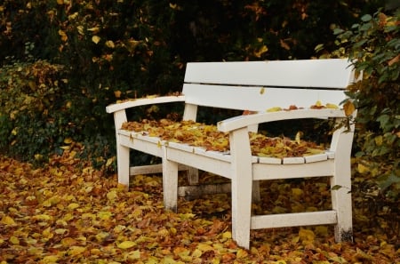 ♥ - abstract, bench, leaves, autumn