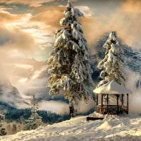 Winter Landscape