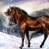 Horse in Winter