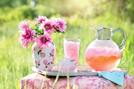 Pink flowers - juices, field, glass, vase