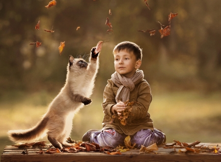 Catching leaves - cat, boy, animal, leaf, child, copil, pisica