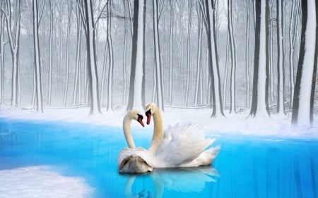 All in White - pair, nature, swans, trees, forest, snow, water