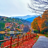 Autumn Walkway