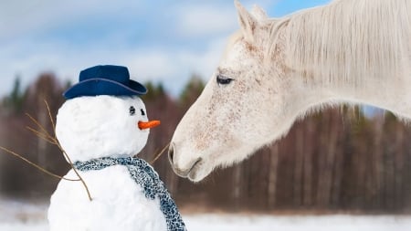 Curious - hat, snowman, winter, snow, curious, horse, white, animal, scarf, funny