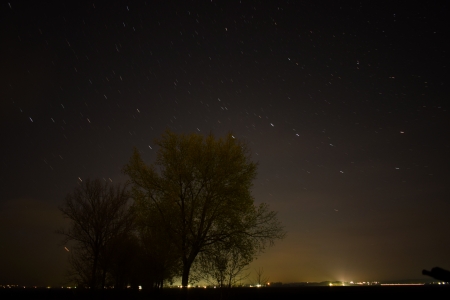 Tree of life - romanian, nikon, of, d3300, tree, life