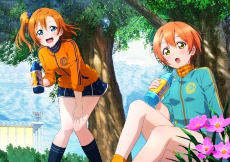 Honoka and Rin - love live, rin hoshizora, cute, kawaii, anime girls, female, anime, honoka kousaka