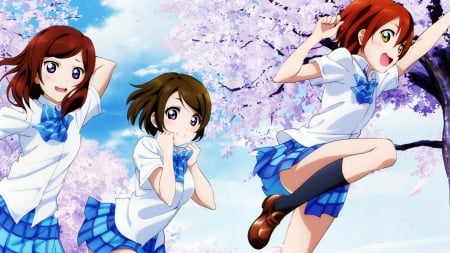 Love Live! - female, hanayo koizumi, love live, kawaii, sakura, rin hoshizora, anime, school idol project, cherry blossoms, maki nishikino, cute