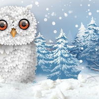 Snowy Owl