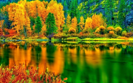 REFLECTION - NATURE, TREES, COLORS, AUTUMN