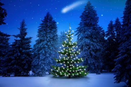 Christmas Tree - winter, artwork, evening, snow, firs, stars