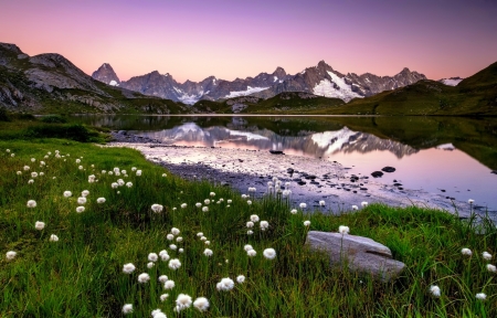 Pink morning - beautiful, snowy, tranquil, landscape, grass, meadow, reflection, mountain, wildflowers, serenity, lake, sky, rocks