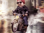 Leader of The Pack