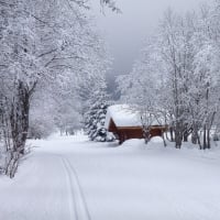 Winter Road