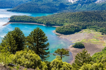 Landscape - lake, forest, nature, mountain