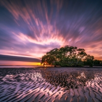 Great Sunset