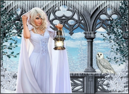 Winter lady - owl, fantasy, winter, lady, light