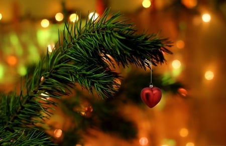 ♥ - fir tree, carmencitazapacita, branch, heart, decoration, ball, holidays, Christmas