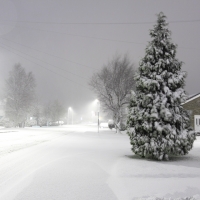 Winter Snow Storm in Town