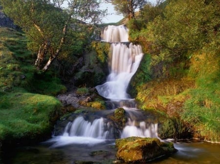 Waterfall - waterfall, tree, nature, river