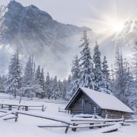 Winter Homestead