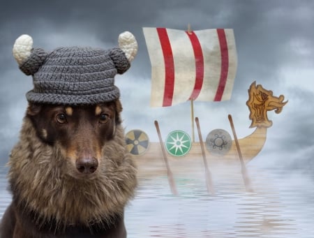 The viking - creative, animal, funny, fantasy, caine, hat, ship, dog