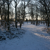 Snow and Sunlight