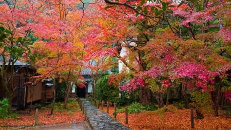 Autumn - nature, autumn, onsen, japan, red, scenery, japanese, kyoto