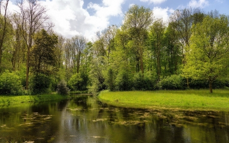 a lake by a forest